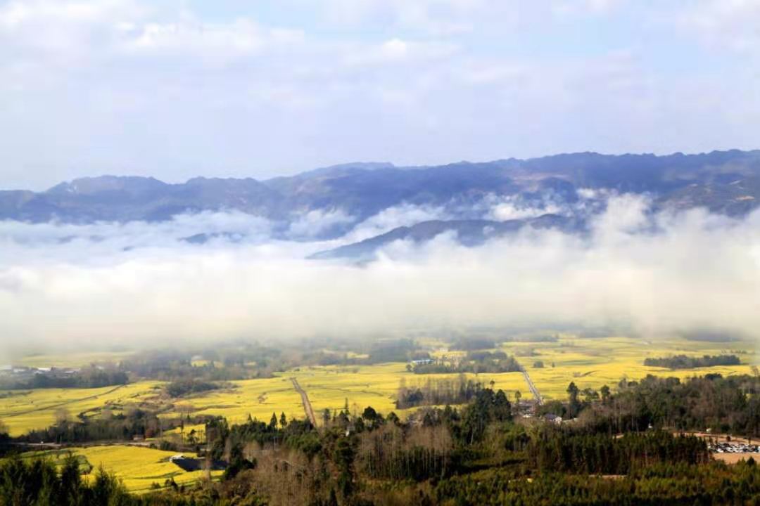 巍巍高黎貢：傳奇的世界物種基因庫(kù)，譜寫(xiě)生命的長(zhǎng)歌